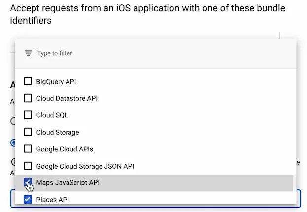 restrictions API key