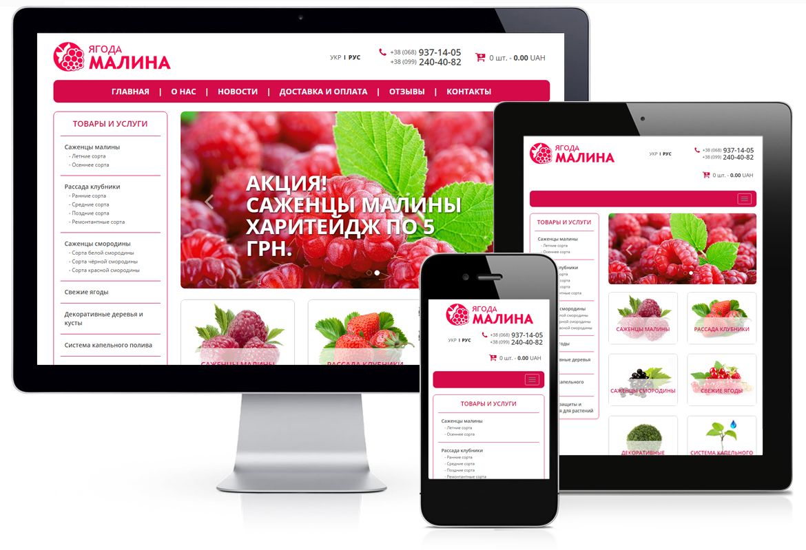 Разработка интернет-магазина шаблон. Портфолио Ягода МАЛИНА