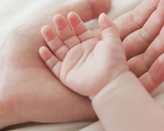 Сайт компанії IVMED