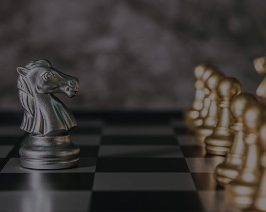 Сайт компанії GRACERS